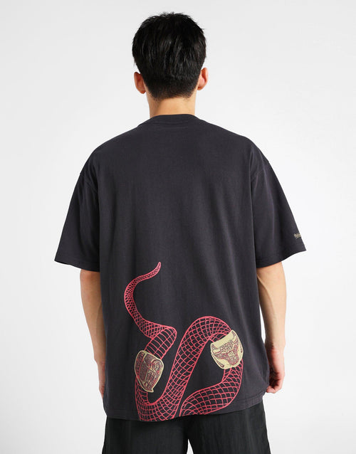 เสื้อยืดผู้ชาย CNY Snake Chicago Bulls