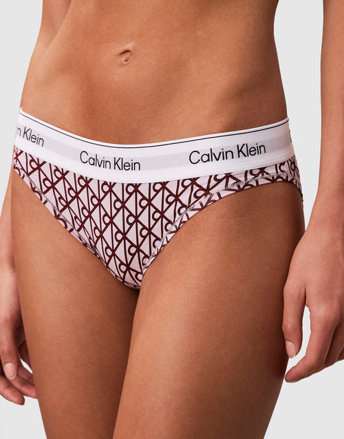 กางเกงชั้นในผู้หญิง Icon Cotton Modal Bikini