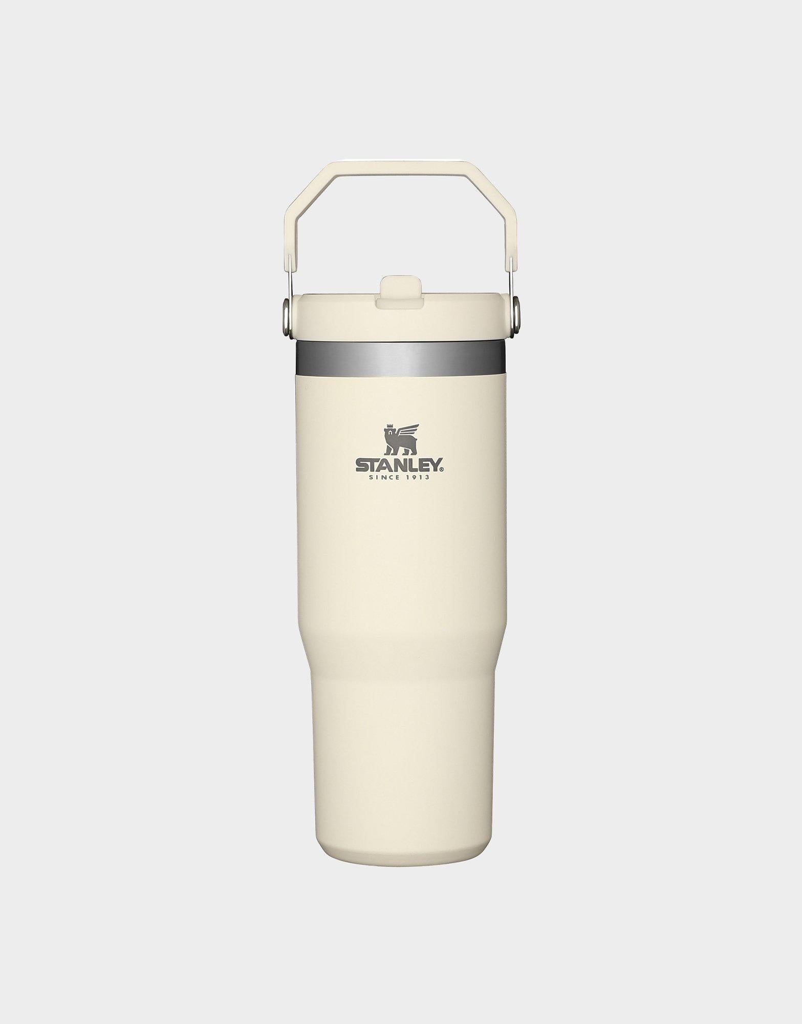 แก้วเก็บอุณหภูมิ The IceFlow Flip Straw Tumbler (30 OZ)