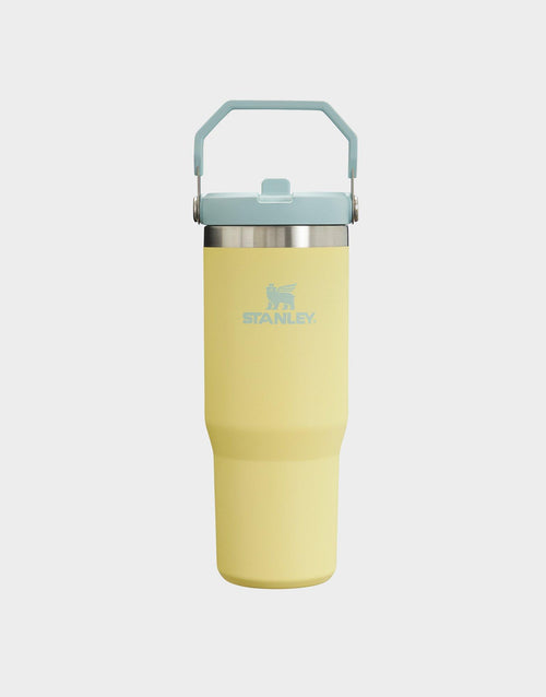 แก้วเก็บอุณหภูมิ The IceFlow Flip Straw (30 OZ)