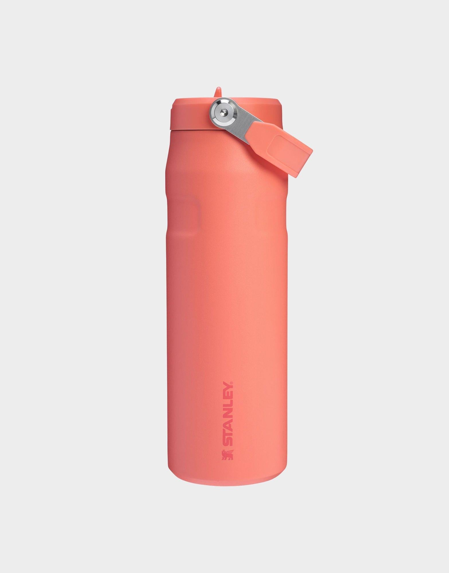 แก้วเก็บอุณหภูมิ The IceFlow Aerolight Flip Straw (24 OZ)