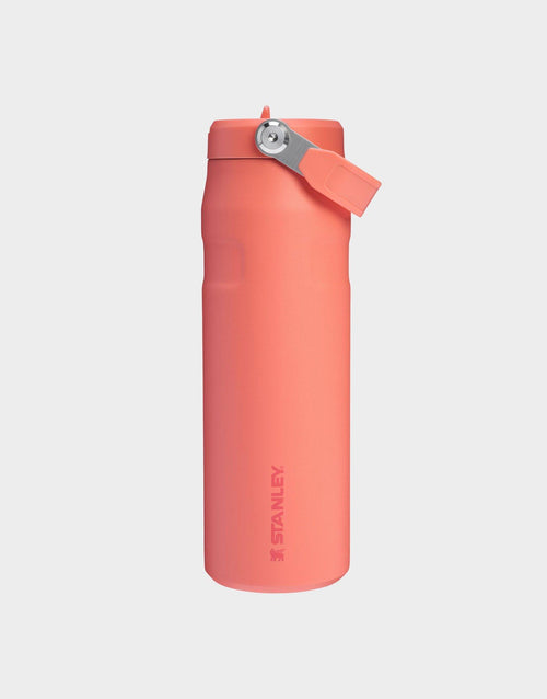 แก้วเก็บอุณหภูมิ The IceFlow Aerolight Flip Straw (24 OZ)