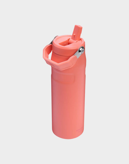 แก้วเก็บอุณหภูมิ The IceFlow Aerolight Flip Straw (24 OZ)