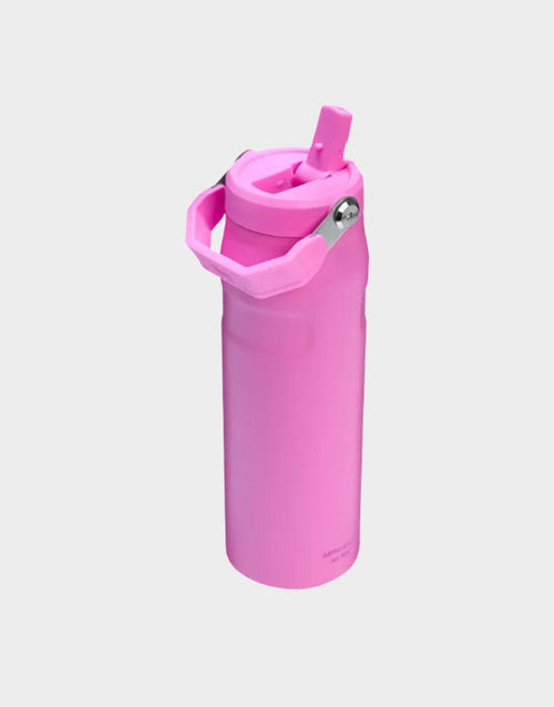 แก้วเก็บอุณหภูมิ The IceFlow Aerolight Flip Straw (24 OZ)