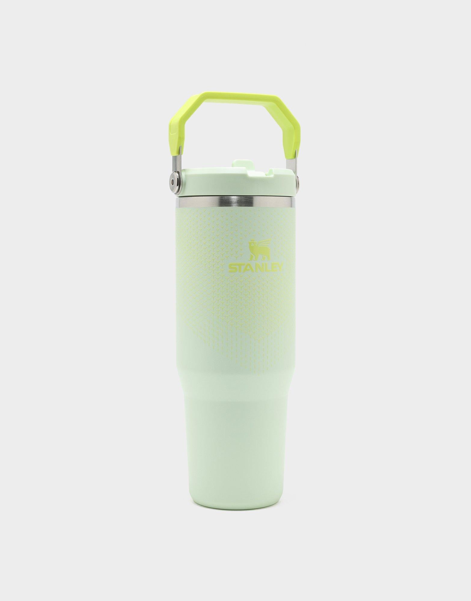 แก้วเก็บอุณหภูมิ The IceFlow Flip Straw 2.0 (30 OZ)
