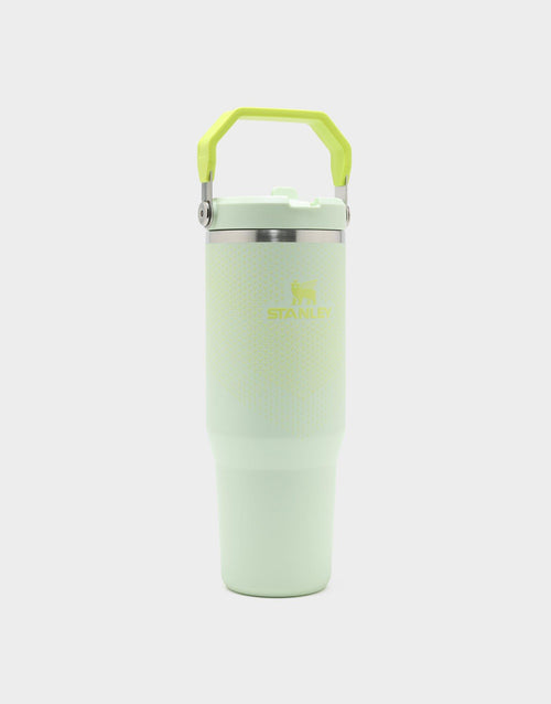แก้วเก็บอุณหภูมิ The IceFlow Flip Straw 2.0 (30 OZ)