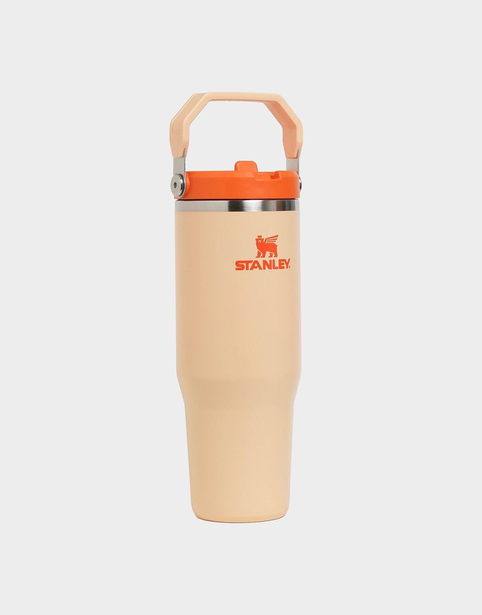 แก้วเก็บอุณหภูมิ The IceFlow Flip Straw 2.0 (30 OZ)