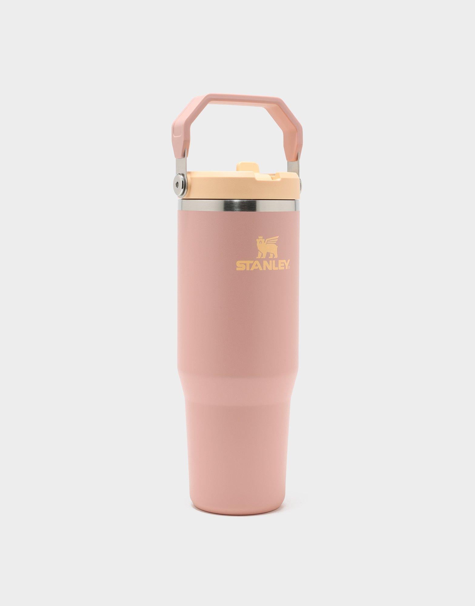 แก้วเก็บอุณหภูมิ The IceFlow Flip Straw 2.0 (30 OZ)