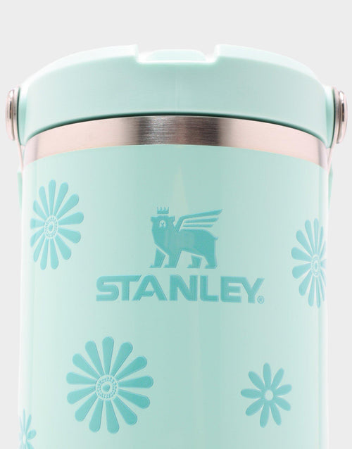 แก้วเก็บอุณหภูมิ The IceFlow Flip Straw 2.0 (30 OZ)