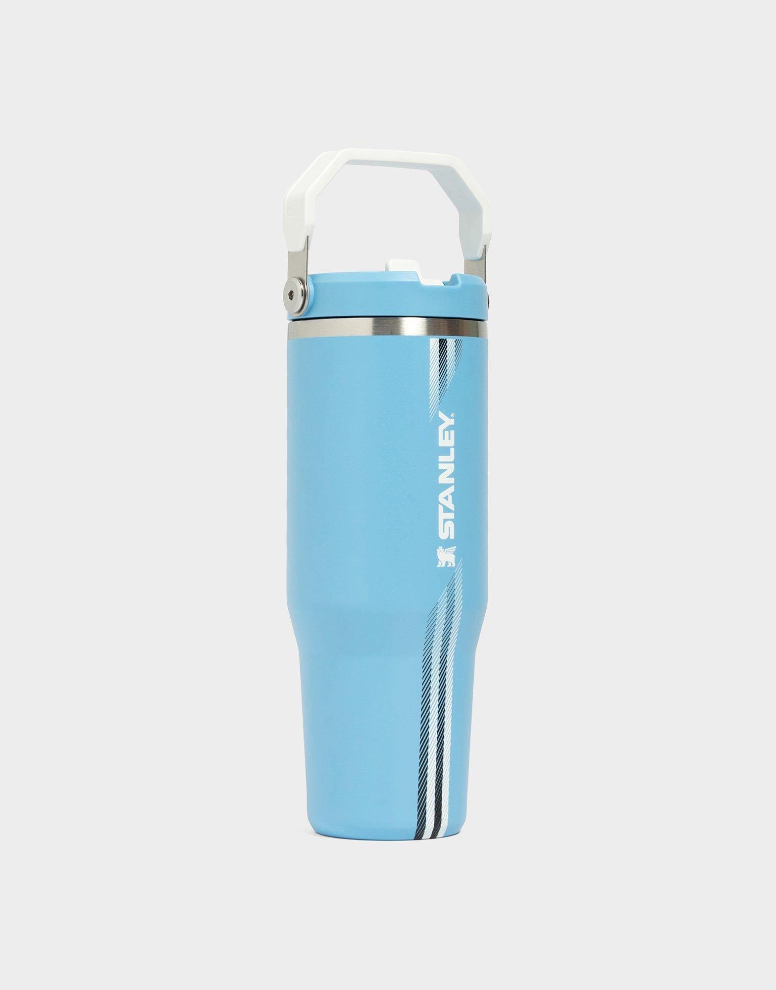 แก้วเก็บอุณหภูมิ The IceFlow Flip Straw 2.0 (30 OZ)