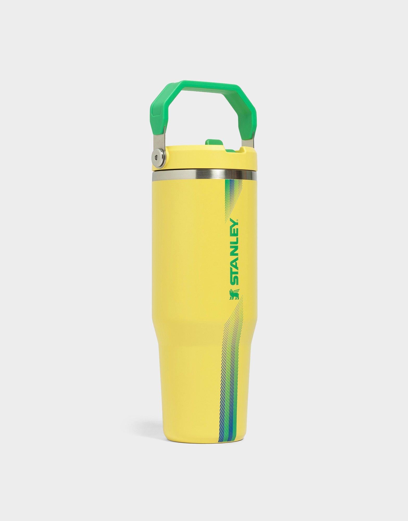 แก้วเก็บอุณหภูมิ The IceFlow Flip Straw 2.0 (30 OZ)