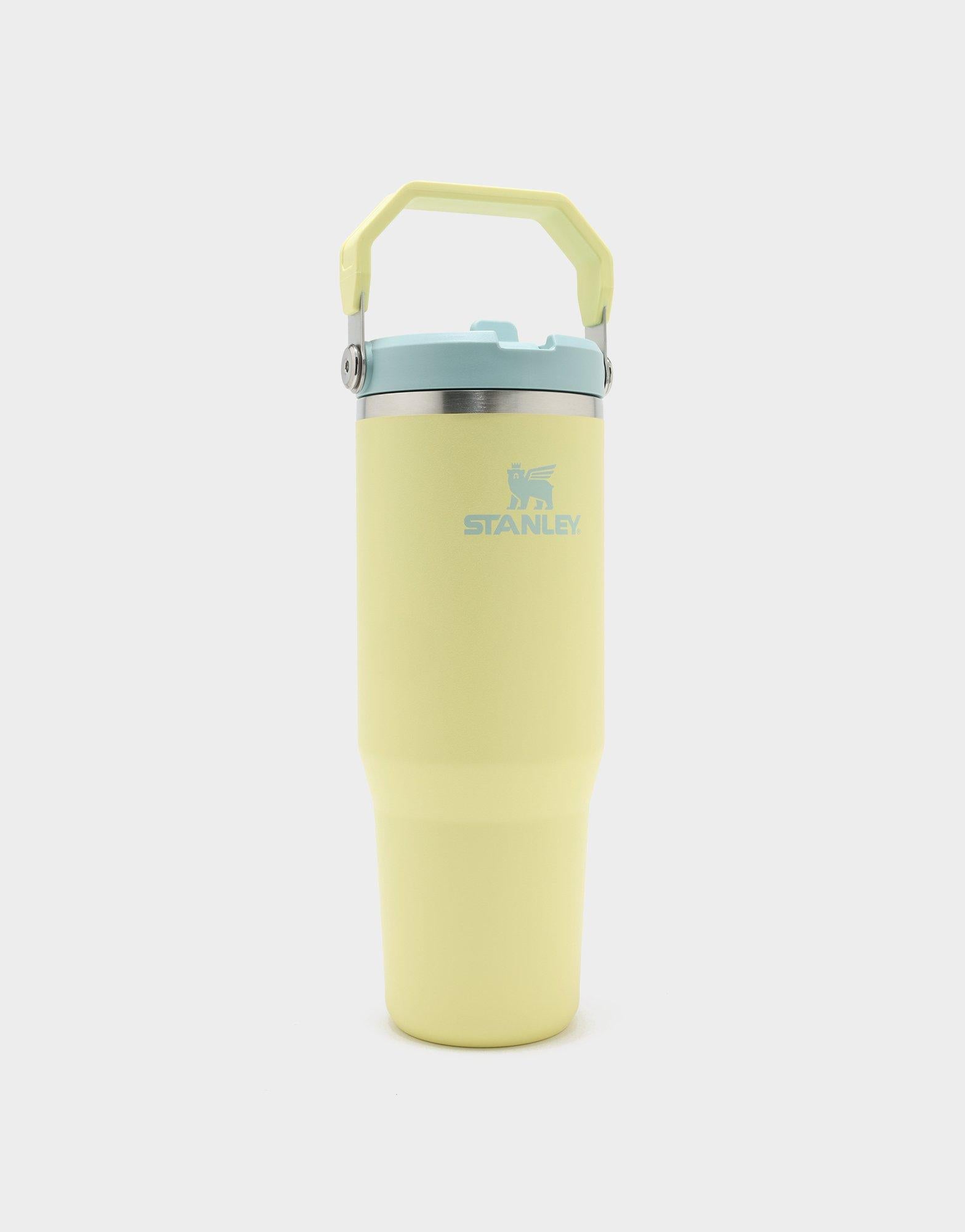 แก้วเก็บอุณหภูมิ The IceFlow Flip Straw 2.0 (30 OZ)