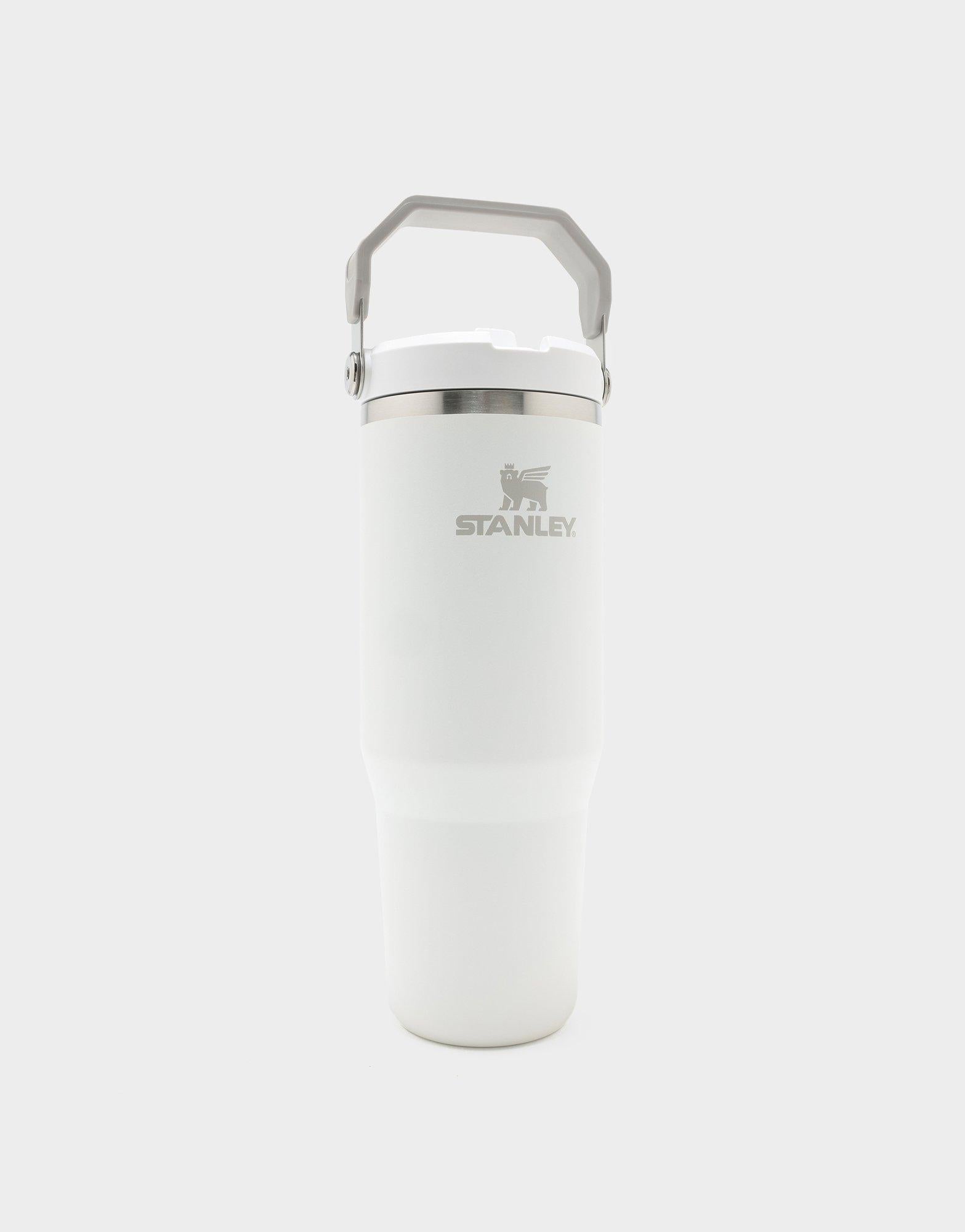 แก้วเก็บอุณหภูมิ The IceFlow Flip Straw 2.0 (30 OZ)