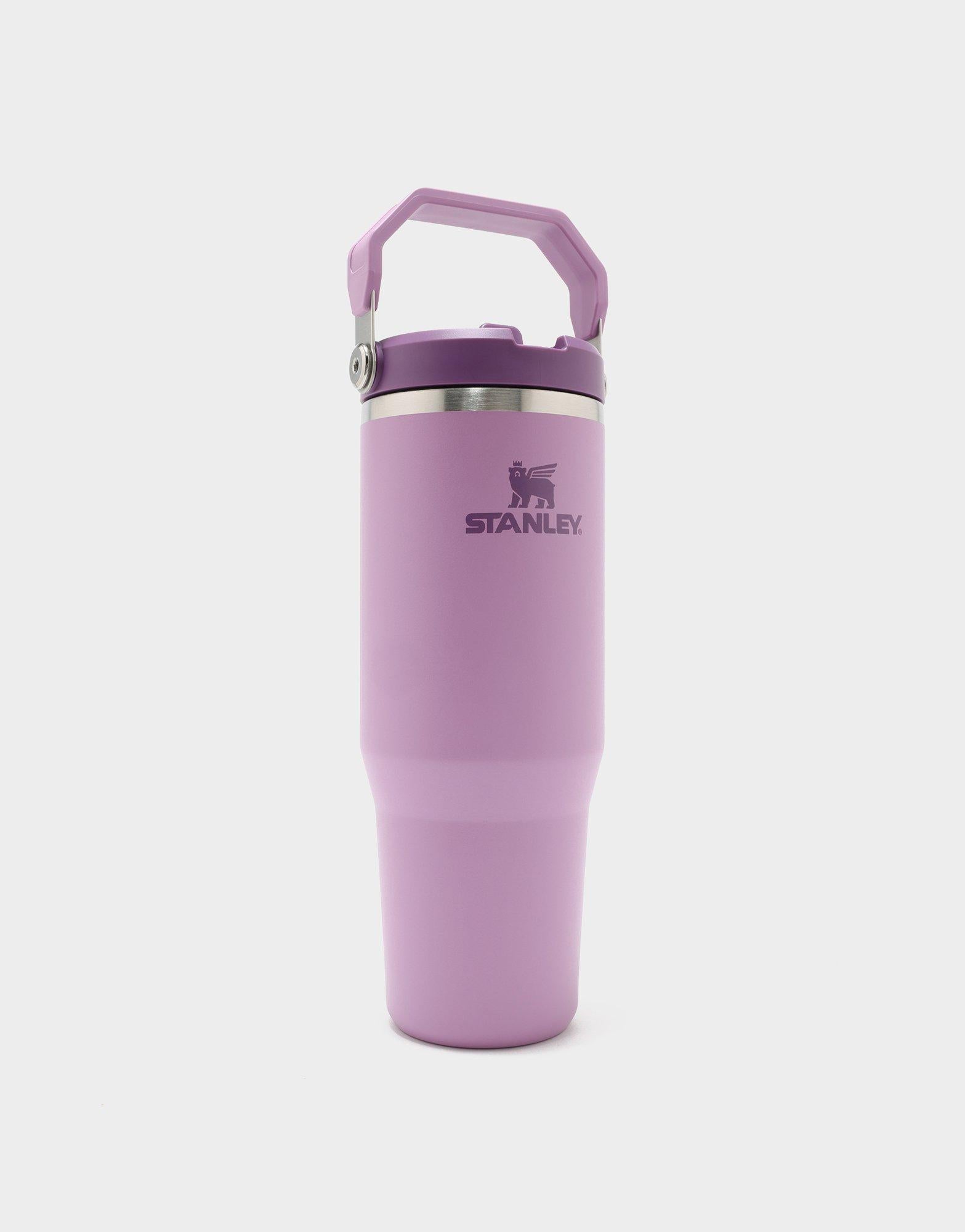 แก้วเก็บอุณหภูมิ The IceFlow Flip Straw 2.0 (30 OZ)