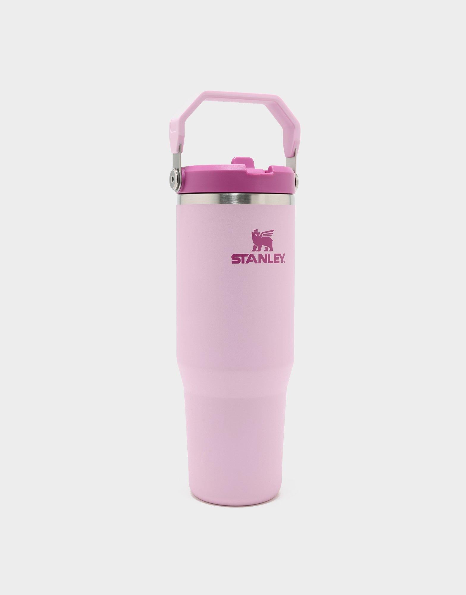 แก้วเก็บอุณหภูมิ The IceFlow Flip Straw 2.0 (30 OZ)