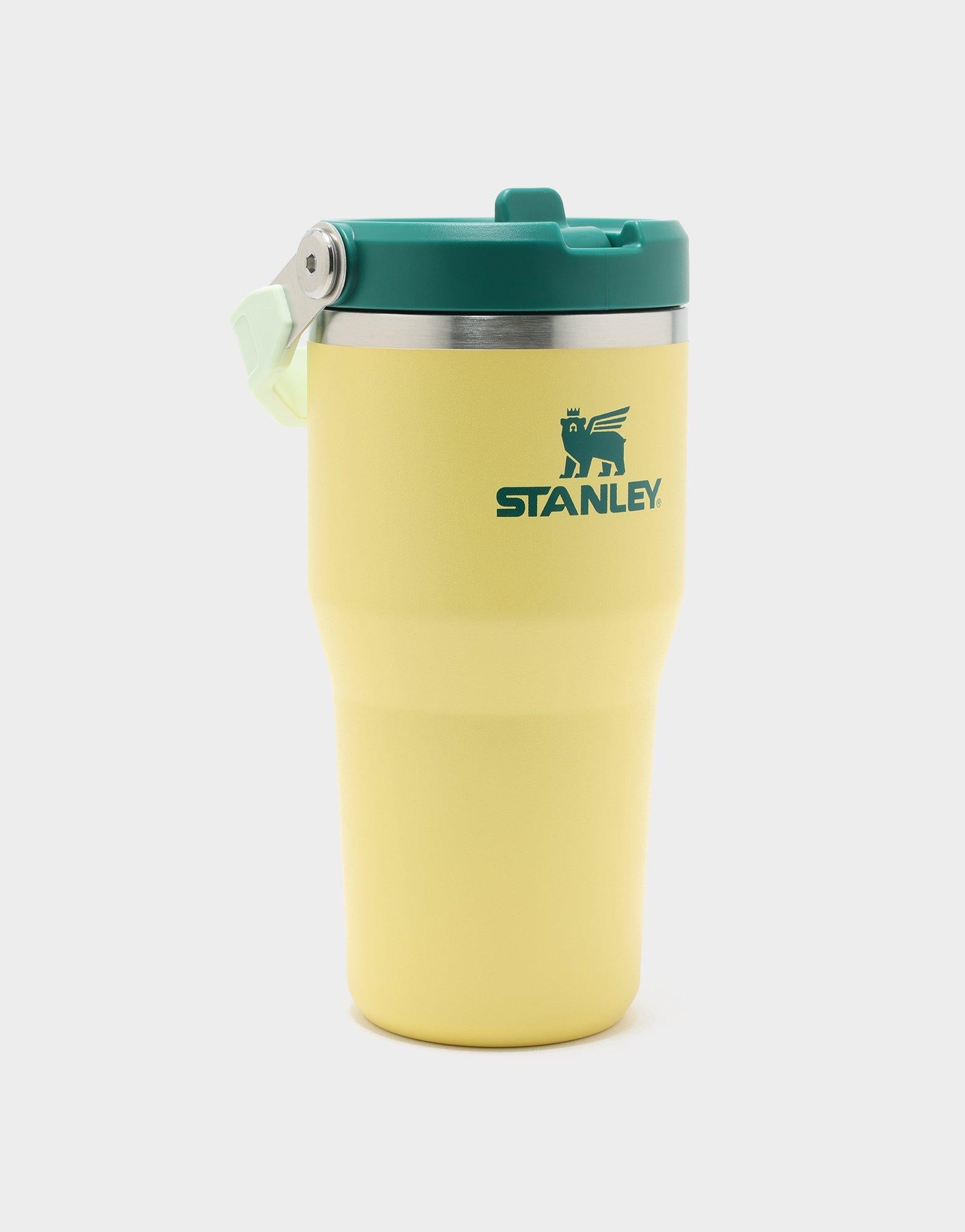 แก้วเก็บอุณหภูมิ The IceFlow Flip Straw 2.0 (20 OZ)
