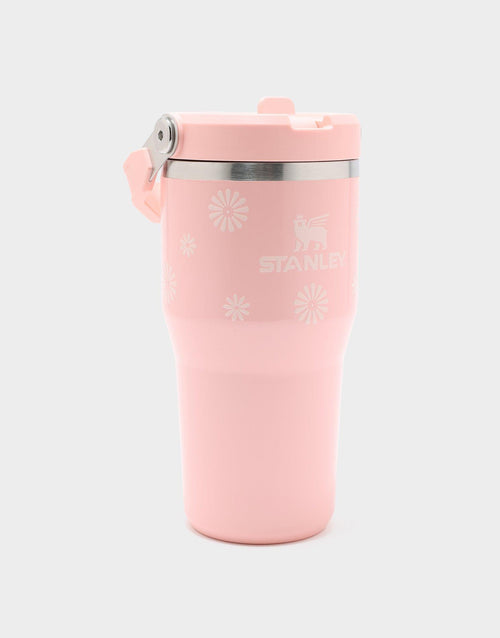 แก้วเก็บอุณหภูมิ The IceFlow Flip Straw 2.0 (20 OZ)