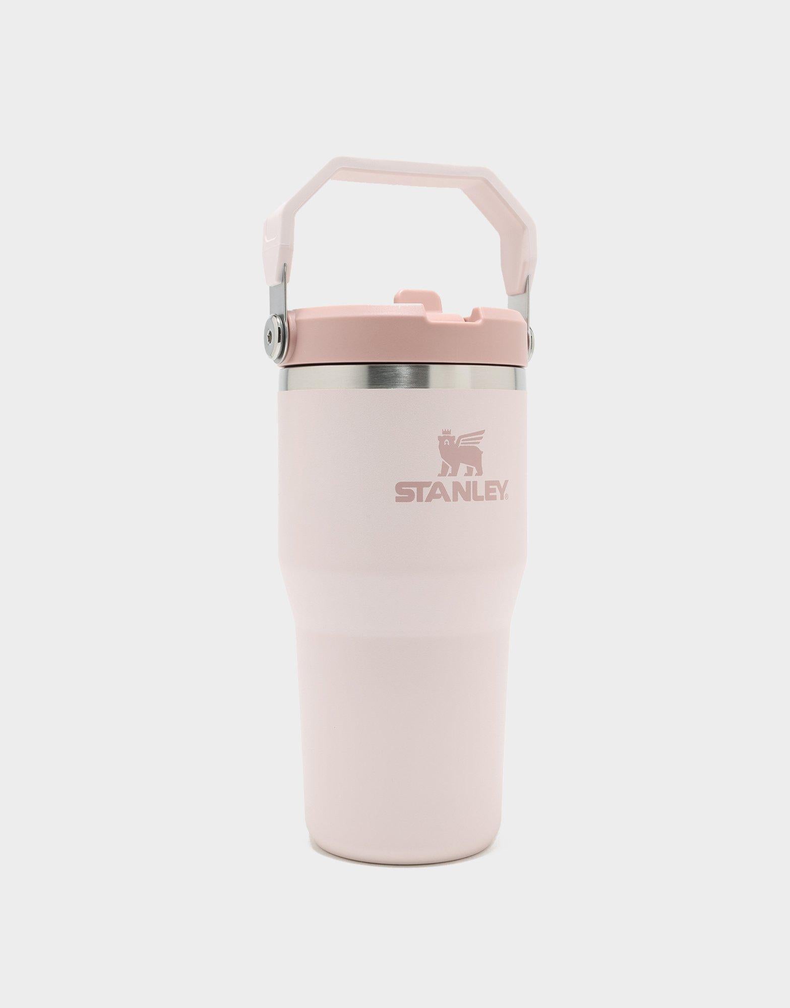 แก้วเก็บอุณหภูมิ The IceFlow Flip Straw (20 OZ)