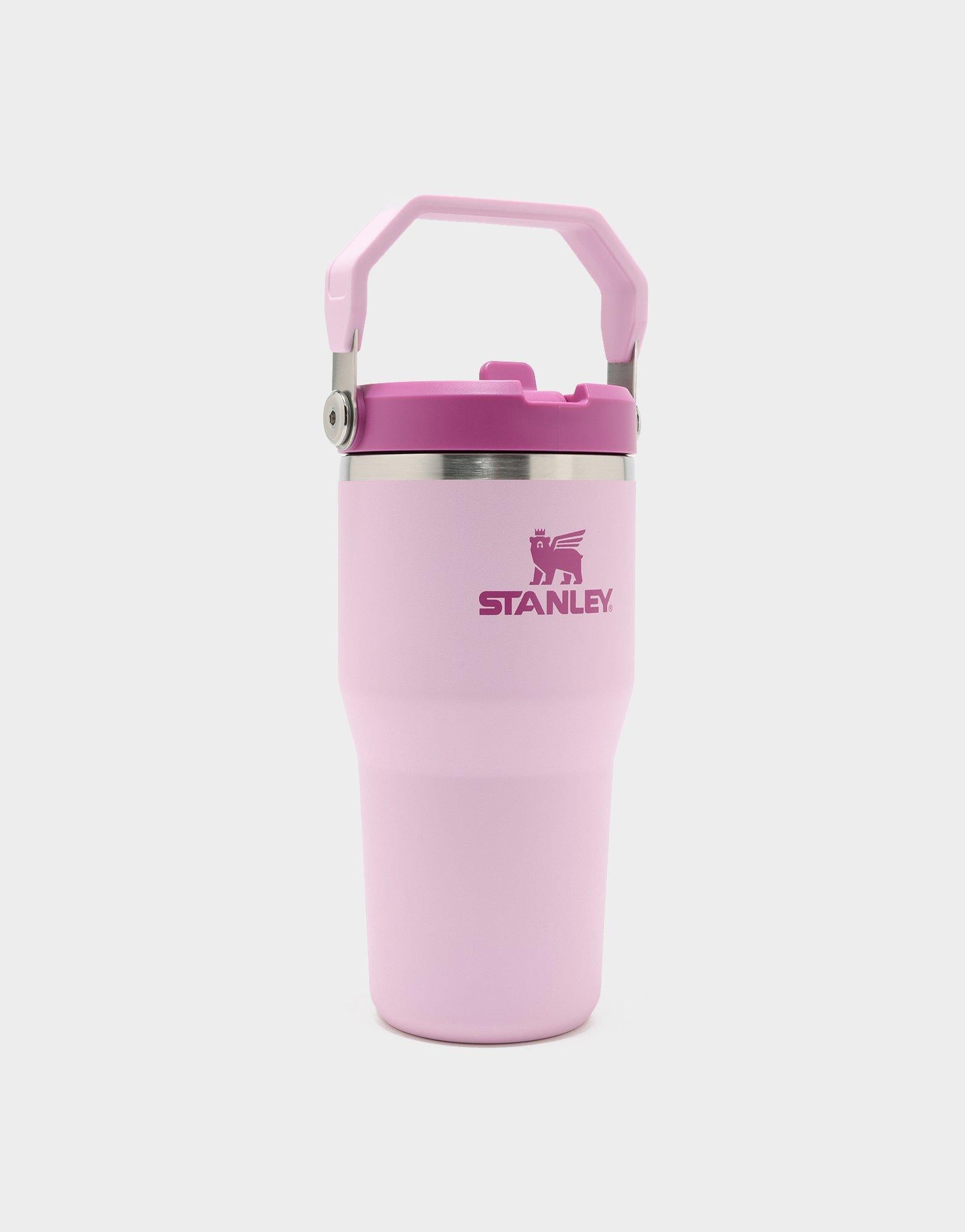 แก้วเก็บอุณหภูมิ The IceFlow Flip Straw (20 OZ)