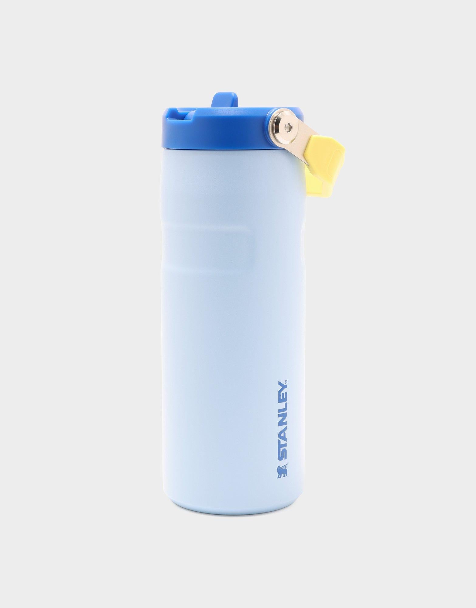 แก้วเก็บอุณหภูมิ The IceFlow Flip Straw (16 OZ)