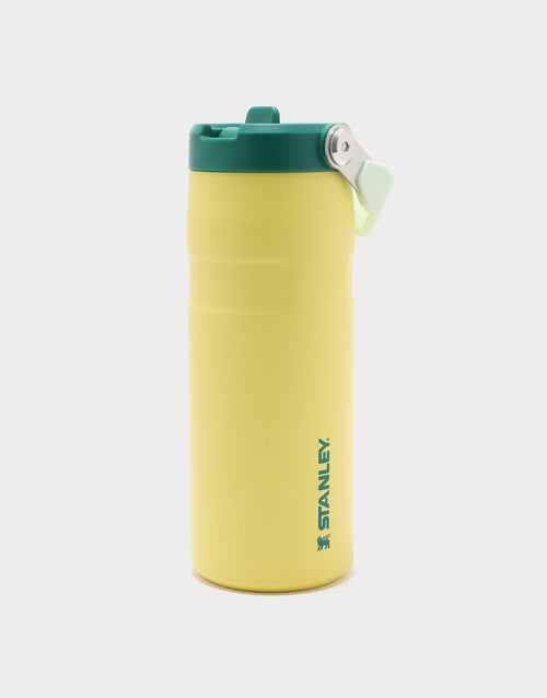 แก้วเก็บอุณหภูมิ The IceFlow Flip Straw (16 OZ)