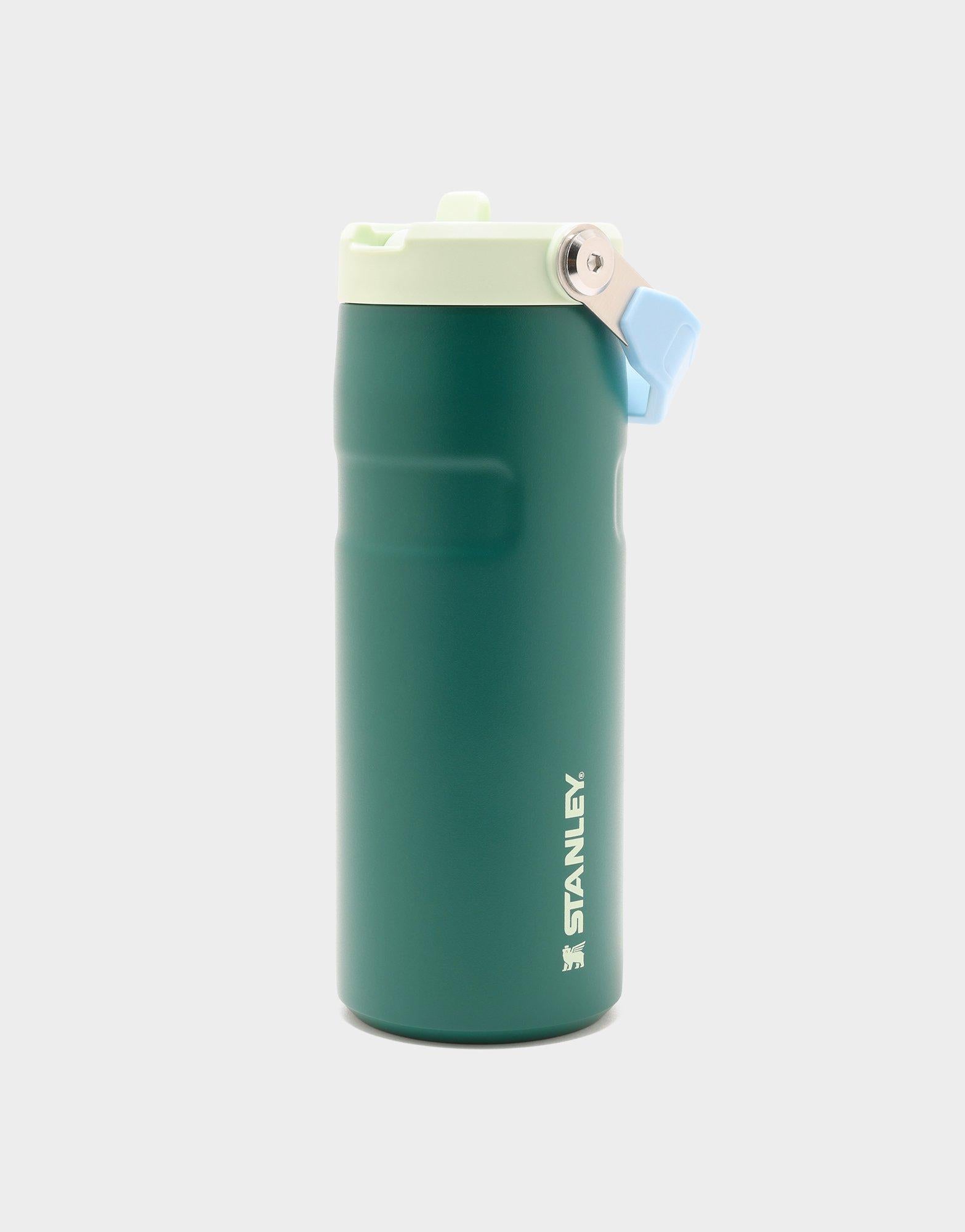 แก้วเก็บอุณหภูมิ The IceFlow Flip Straw (16 OZ)