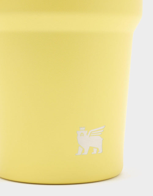 แก้วเก็บอุณหภูมิ Quencher ProTour Flip Straw (20 OZ)