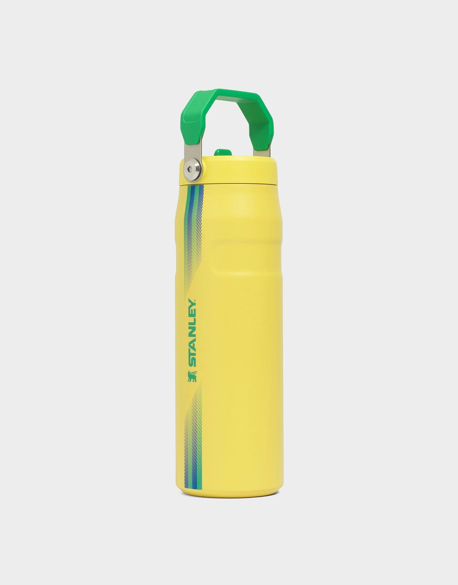 แก้วเก็บอุณหภูมิ The IceFlow Aerolight Flip Straw (24 OZ)
