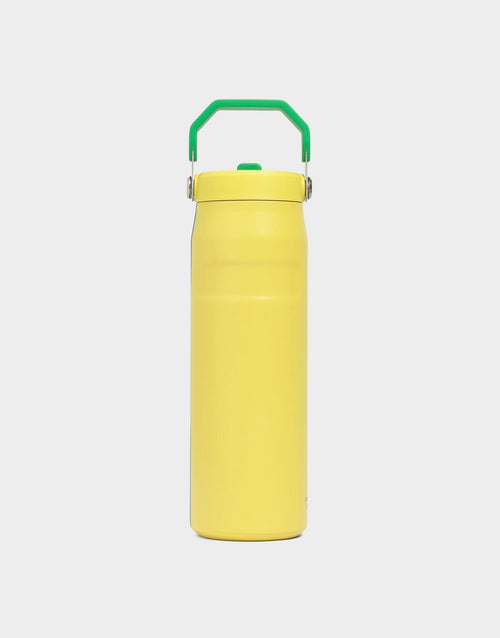 แก้วเก็บอุณหภูมิ The IceFlow Aerolight Flip Straw (24 OZ)
