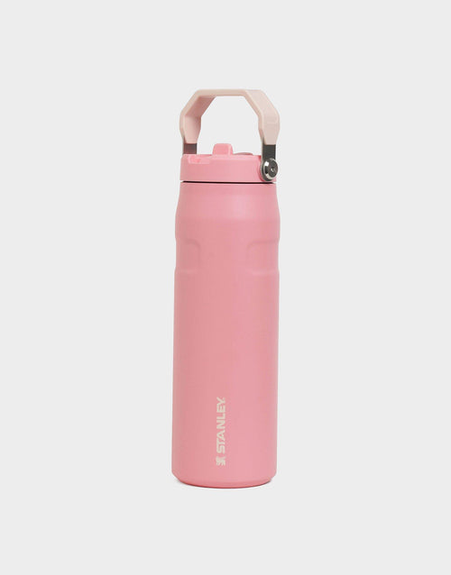 แก้วเก็บอุณหภูมิ The IceFlow Aerolight Flip Straw (24 OZ)