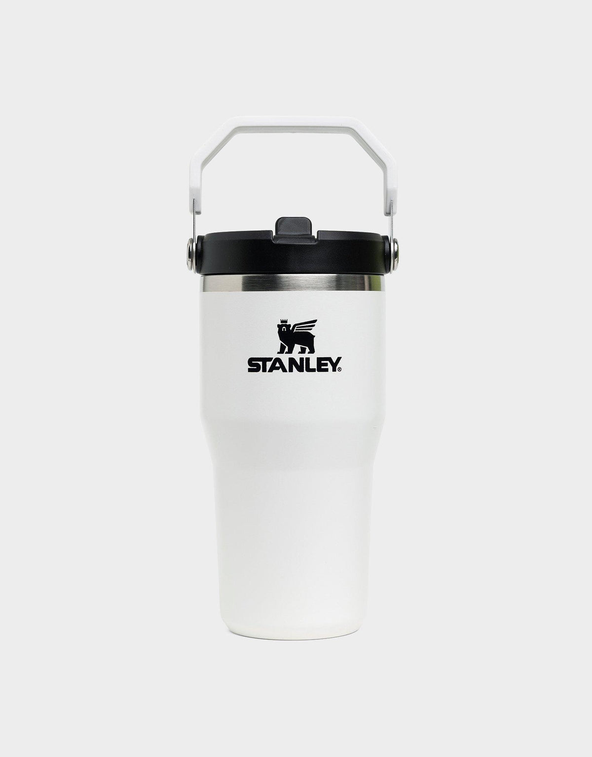 แก้วเก็บอุณหภูมิ The IceFlow Flip Straw (20 OZ)