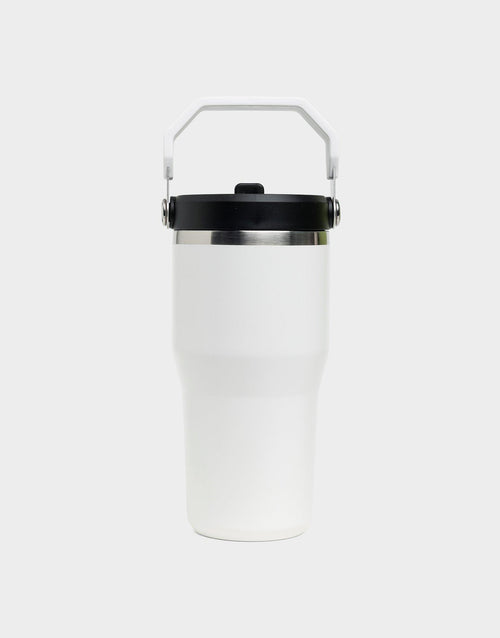 แก้วเก็บอุณหภูมิ The IceFlow Flip Straw (20 OZ)