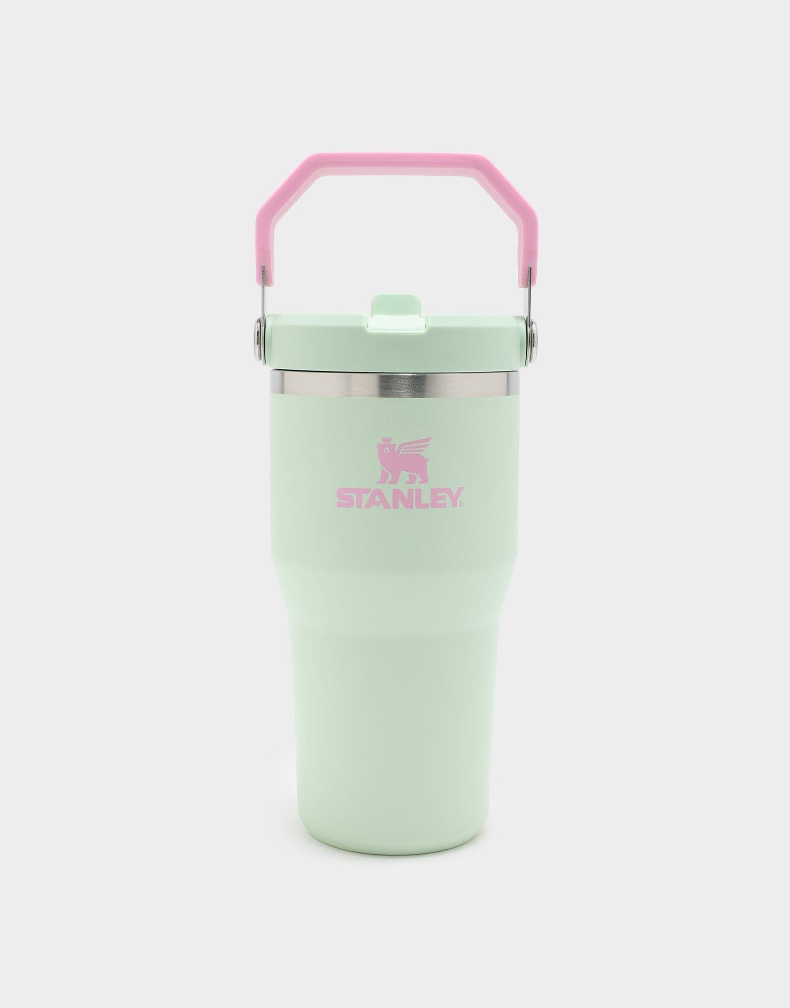 แก้วเก็บอุณหภูมิ The IceFlow Flip Straw 2.0 (20 OZ)