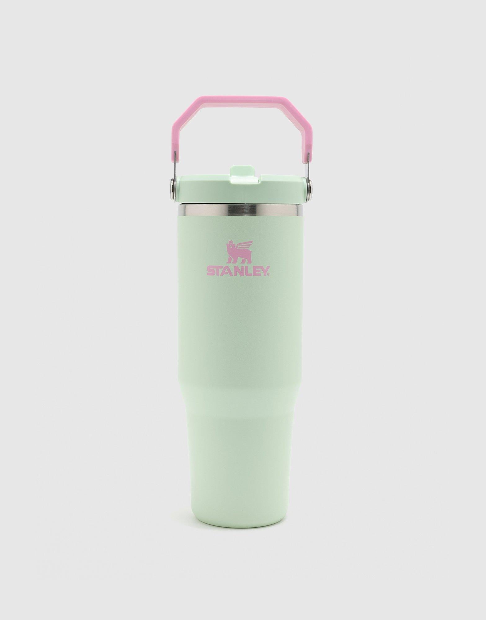 แก้วเก็บอุณหภูมิ The IceFlow Flip Straw 2.0 (30 OZ)