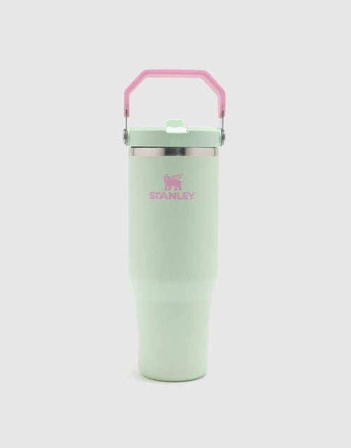 แก้วเก็บอุณหภูมิ The IceFlow Flip Straw 2.0 (30 OZ)