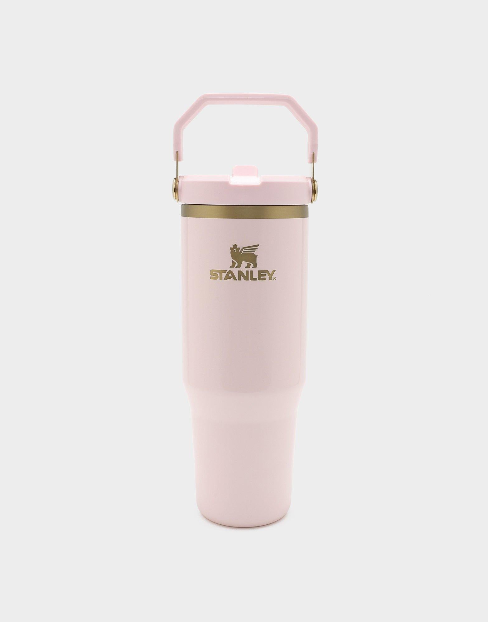 แก้วเก็บอุณหภูมิ The IceFlow Flip Straw (30 OZ)