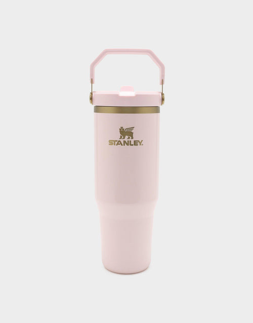 แก้วเก็บอุณหภูมิ The IceFlow Flip Straw (30 OZ)