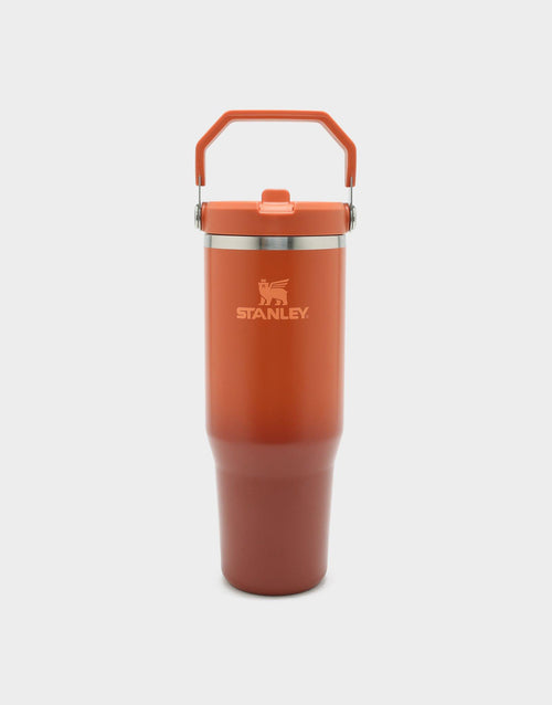 แก้วเก็บอุณหภูมิ The IceFlow Flip Straw 2.0 (30 OZ)