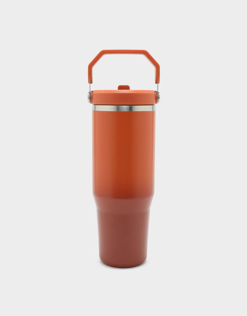แก้วเก็บอุณหภูมิ The IceFlow Flip Straw 2.0 (30 OZ)