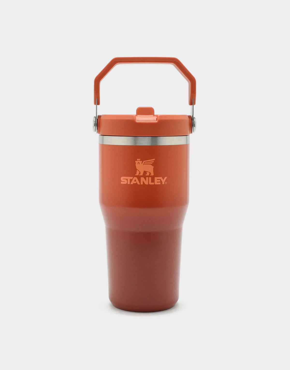 แก้วเก็บอุณหภูมิ The IceFlow Flip Straw 2.0 (20 OZ)