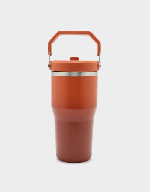 แก้วเก็บอุณหภูมิ The IceFlow Flip Straw 2.0 (20 OZ)