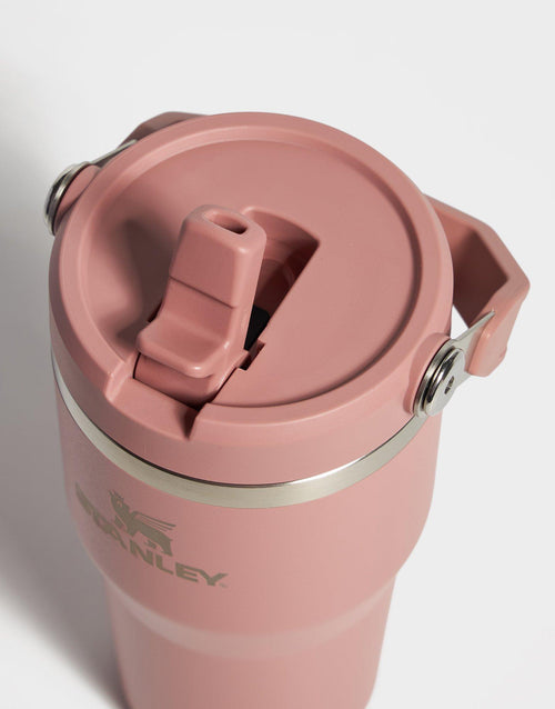 แก้วเก็บอุณหภูมิ The IceFlow Flip Straw 2.0 (20 OZ)