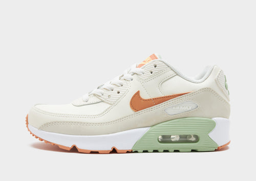 รองเท้าเด็กโต Air Max 90 LTR