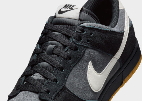 รองเท้าผู้ชาย Dunk Low Retro SE