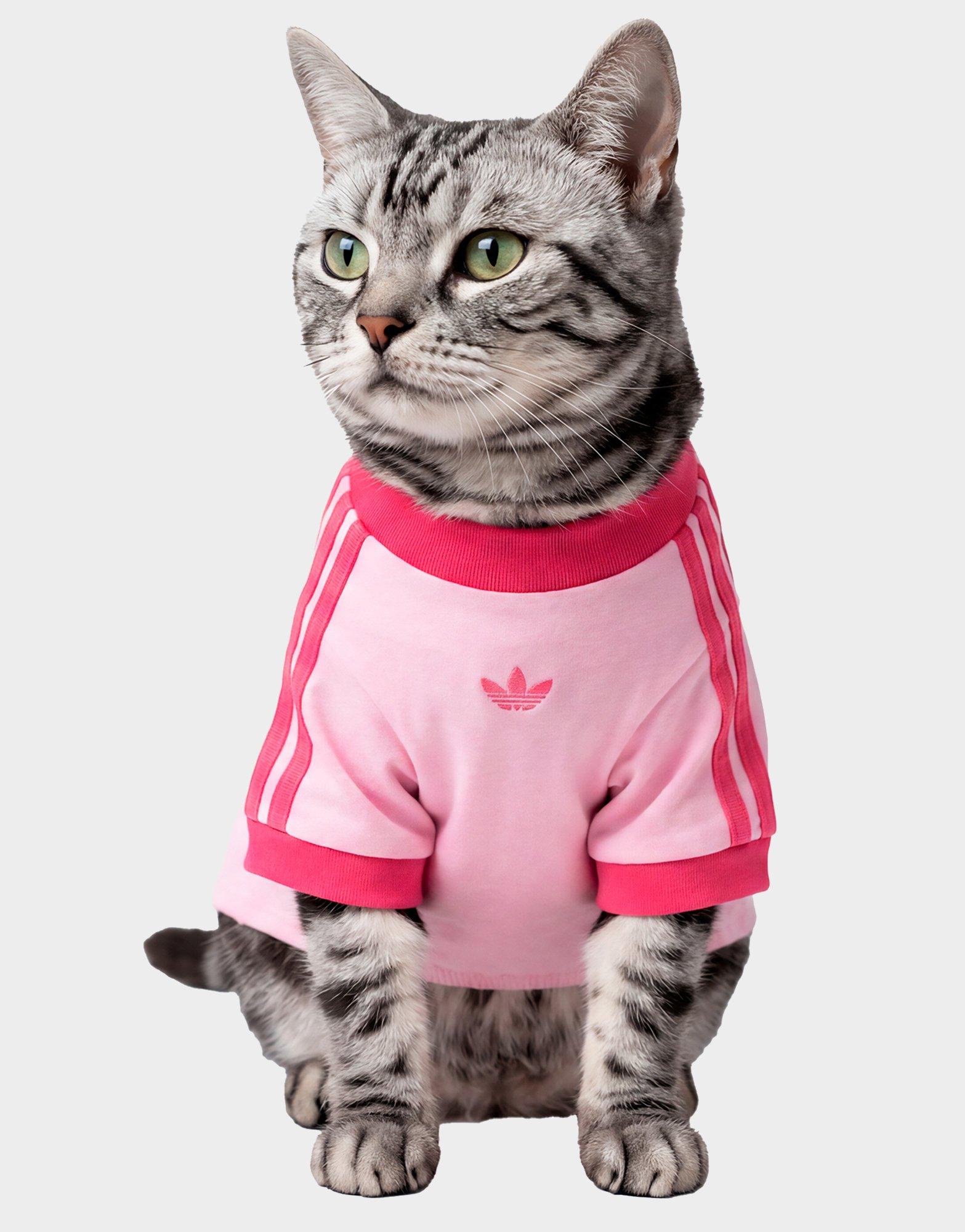 เสื้อยืดสำหรับสัตว์เลี้ยง Cali