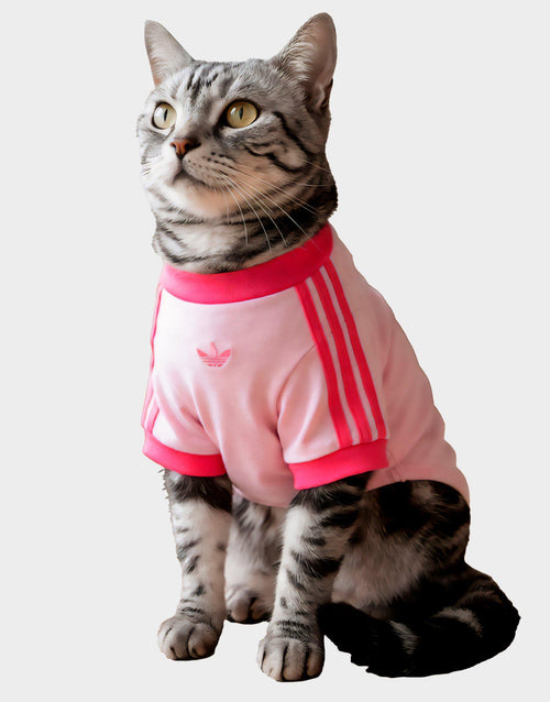 เสื้อยืดสำหรับสัตว์เลี้ยง Cali