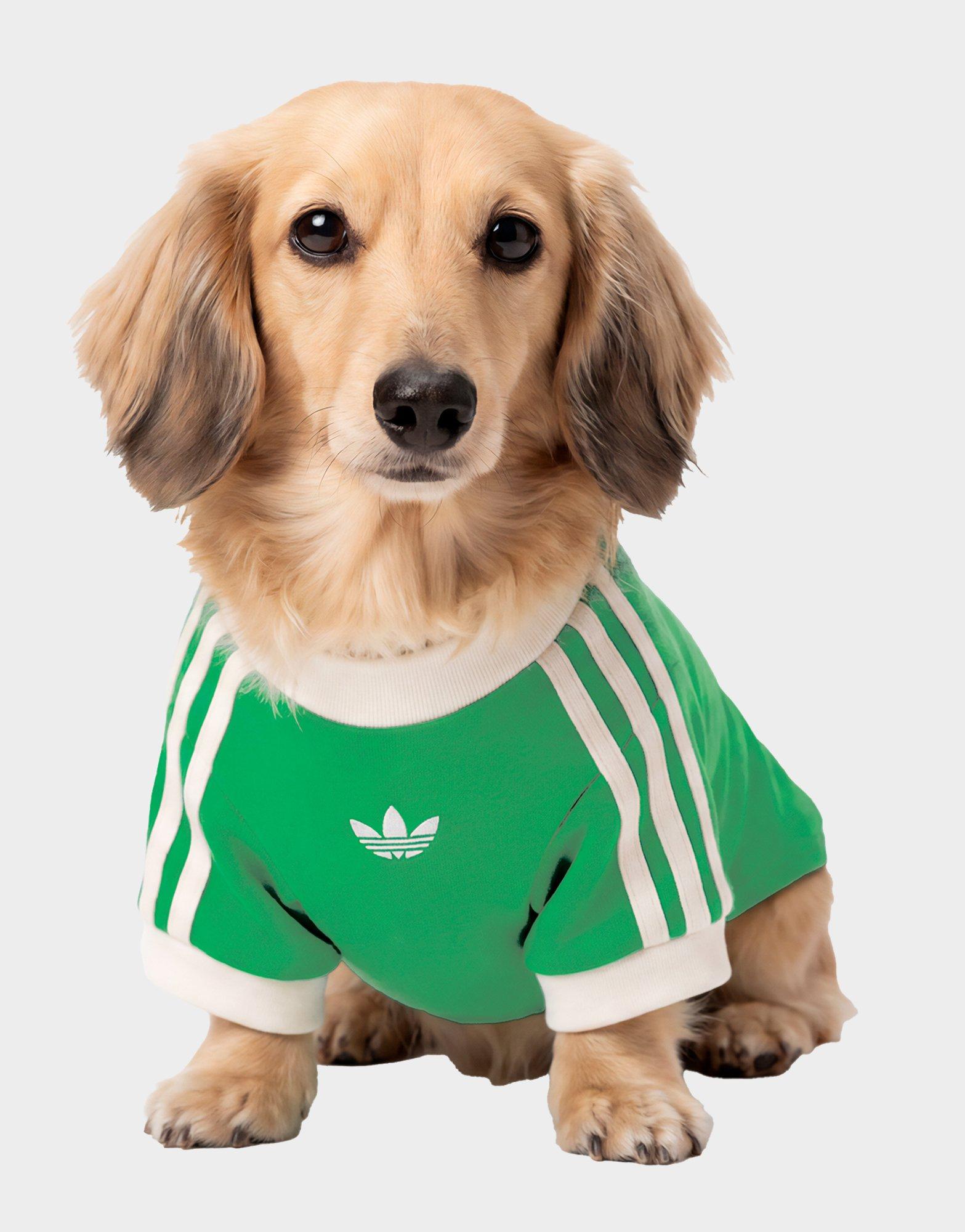 เสื้อยืดสำหรับสัตว์เลี้ยง Cali