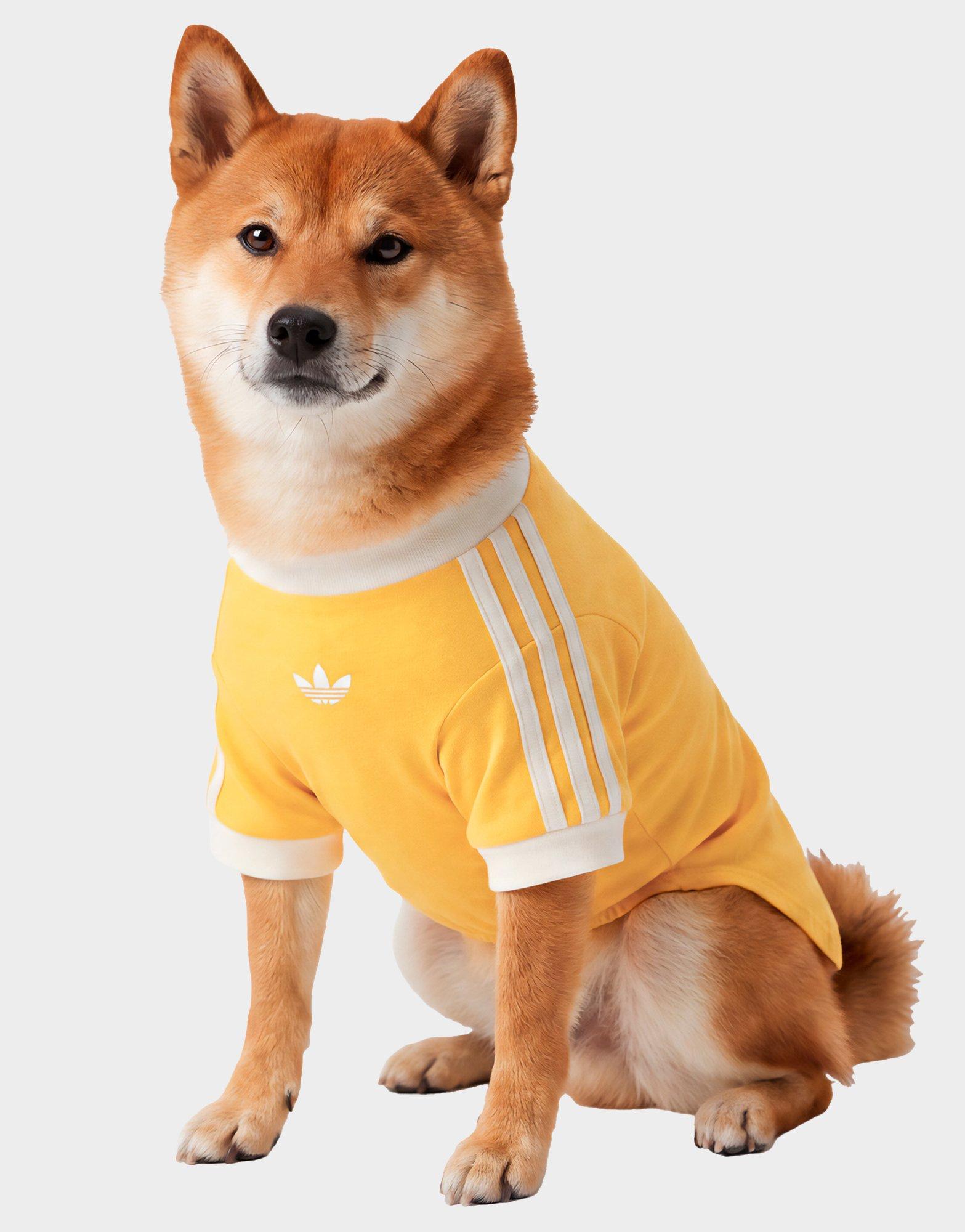 เสื้อยืดสำหรับสัตว์เลี้ยง Cali