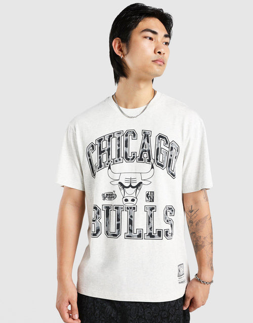 เสื้อยืดผู้ชาย Leopard Arch Chicago Bulls
