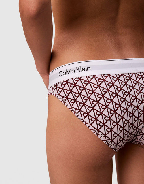 กางเกงชั้นในผู้หญิง Icon Cotton Modal Bikini
